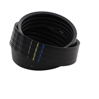 Tandem Pumps, High Temp Drive Belt, 2315 mm