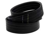 Rotor Pump Drive Belt, 2290 mm