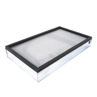 AGCO (OEM) 556654D1K  Air Cabin Filter Cartridge
