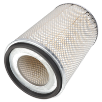 Primary Air Filter