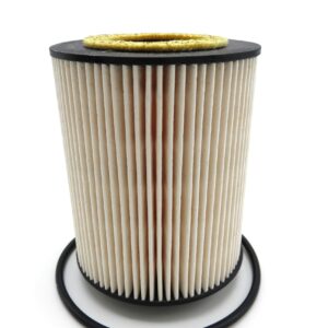 AGCO OEM Fuel Filter Cartridge 72414768 for Fendt Tractors